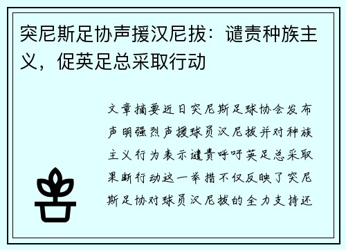 突尼斯足协声援汉尼拔:谴责种族主义,促英足总采取行动
