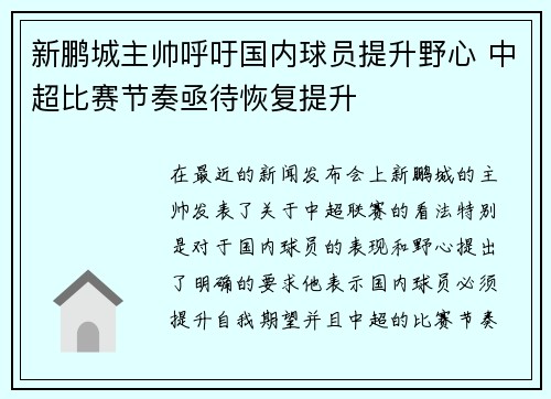新鹏城主帅呼吁国内球员提升野心 中超比赛节奏亟待恢复提升